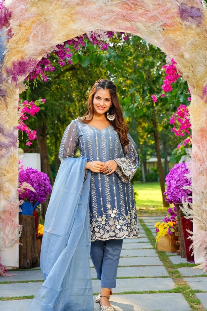 Mitali blue embroidered set - Image 2