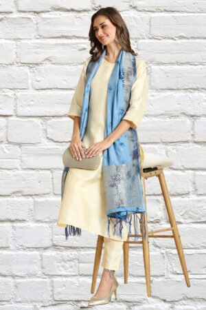 Banarasi Shibori Pattern Silk Dupatta