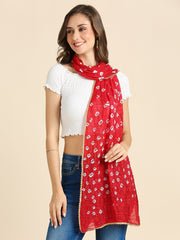 Bandhini Blended Silk Stole with Gold Border - Image 2