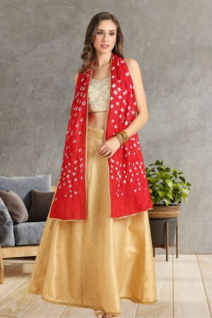 Bandhini Blended Silk Stole with Gold Border