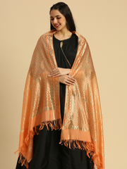 Knitted Lace Net Dupatta - Image 4