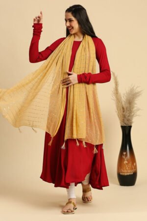 Sequined Chiffon Dupatta