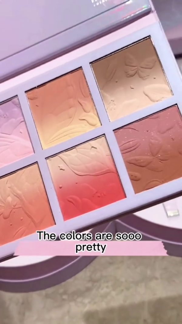 Limited Edition Butterfly-Inspired Full Makeup Collection Set – Featuring Multi-Skin Tone Lip Shades, Shimmering Liquid Eyeshadows, Gradient Blush Palette, and Premium Brushes in a Luxe Collectible Case - Image 2